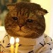 theRJpackage's Avatar
