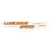 Ludicrous Speed's Avatar