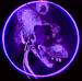 seikavx's Avatar