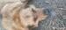 Faded's Avatar