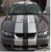grey03cobra's Avatar