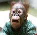 MonkeeBoi's Avatar