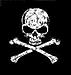 Jolly Roger's Avatar