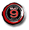 RyuEvoIX
