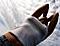 Jeff_Jeske